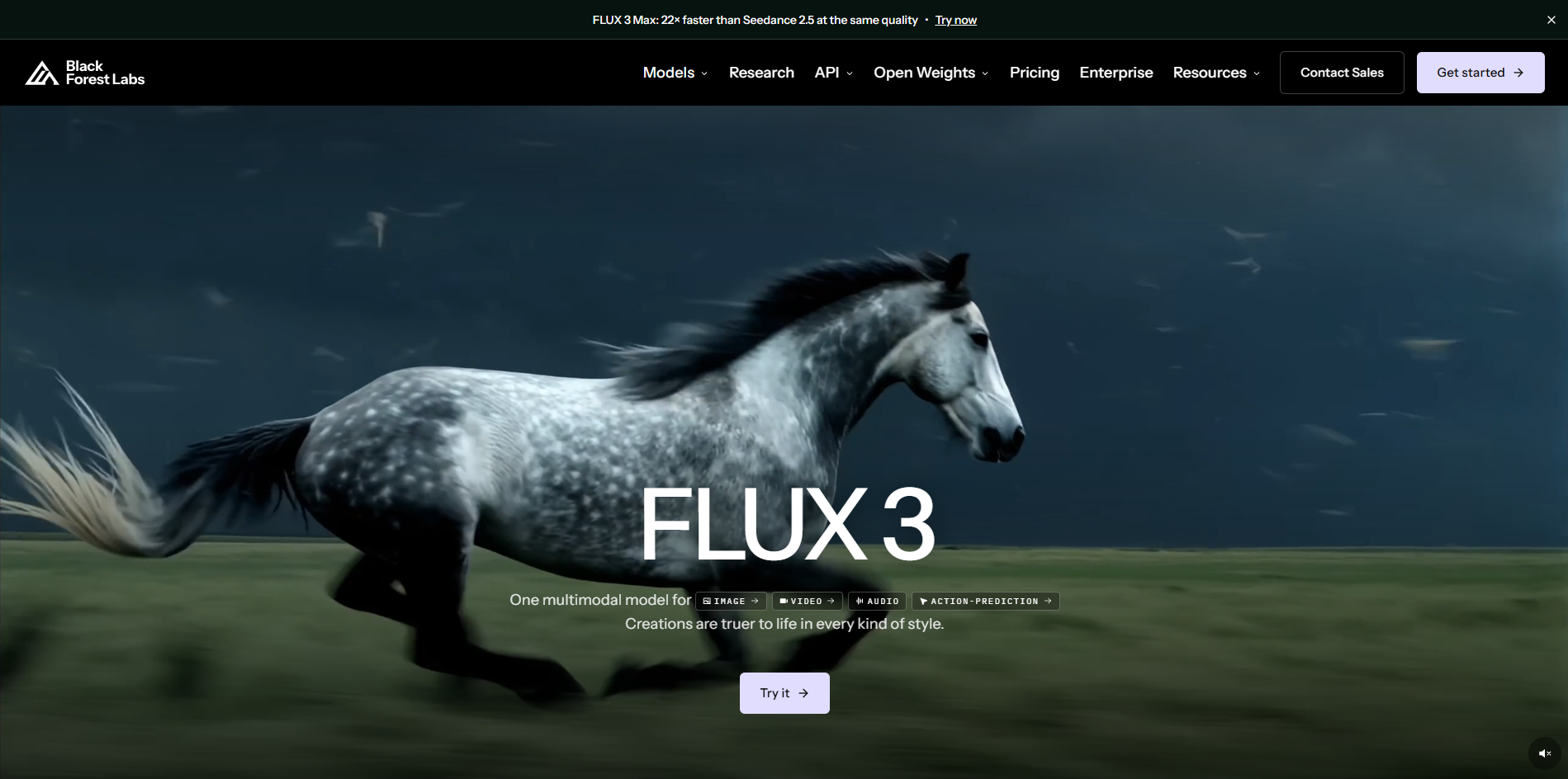 Black Forest Labs FLUX
